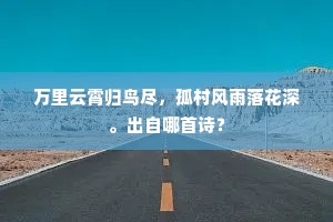 万里云霄归鸟尽，孤村风雨落花深。出自哪首诗？