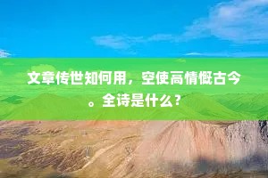 文章传世知何用，空使高情慨古今。全诗是什么？