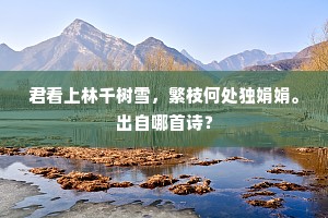 君看上林千树雪，繁枝何处独娟娟。出自哪首诗？