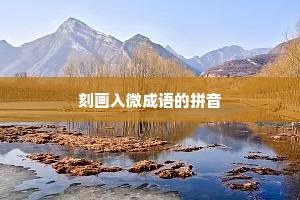 刻画入微成语的拼音