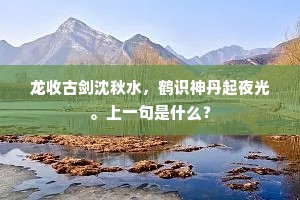 龙收古剑沈秋水，鹤识神丹起夜光。上一句是什么？