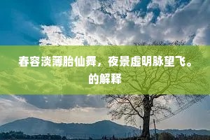 春容淡薄胎仙舞，夜景虚明脉望飞。的解释
