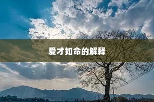 爱才如命的解释