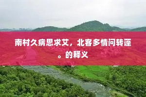 南村久病思求艾，北客多情问转蓬。的释义