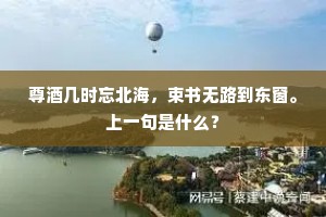 尊酒几时忘北海，束书无路到东窗。上一句是什么？