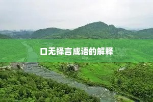 口无择言成语的解释