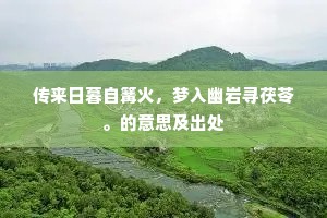 传来日暮自篝火，梦入幽岩寻茯苓。的意思及出处