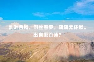 乱叶西风，游丝春梦，转转无休歇。出自哪首诗？