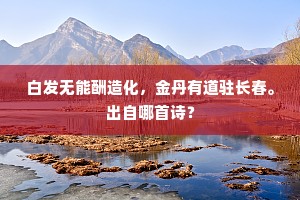 白发无能酬造化，金丹有道驻长春。出自哪首诗？