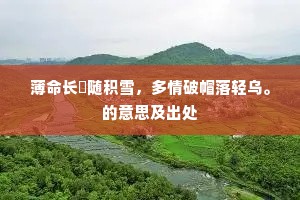 薄命长镵随积雪，多情破帽落轻乌。的意思及出处