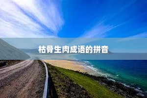 枯骨生肉成语的拼音