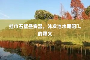 挂巾石壁昼雾湿，沐发池水朝阳晞。的释义