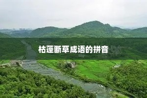 枯蓬断草成语的拼音