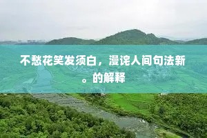 不愁花笑发须白，漫诧人间句法新。的解释