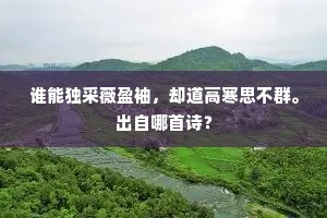 谁能独采薇盈袖，却道高寒思不群。出自哪首诗？