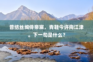 昔结丝绚侍帝宸，青鞋今许向江津。下一句是什么？