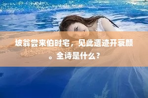 坡翁尝来伯时宅，见此遗迹开衰颜。全诗是什么？