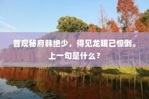 昔观秘府韩绝少，得见龙眠已惊倒。上一句是什么？