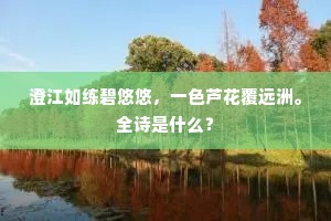 澄江如练碧悠悠，一色芦花覆远洲。全诗是什么？
