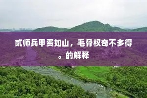 贰师兵甲费如山，毛骨权奇不多得。的解释