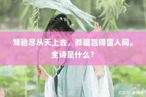 驽骀尽从天上去，骅骝岂得留人间。全诗是什么？