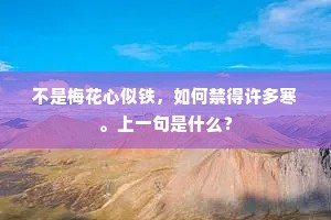 不是梅花心似铁，如何禁得许多寒。上一句是什么？