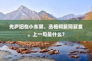 先庐旧在小东郭，丞相祠前同寂寞。上一句是什么？