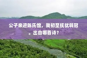 公子亲迎陈氏馆，我初至抚犹弱冠。出自哪首诗？