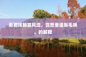 看君挥翰甚风流，岂想重逢鬓毛换。的解释