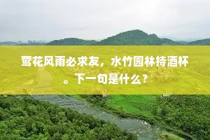 莺花风雨必求友，水竹园林持酒杯。下一句是什么？