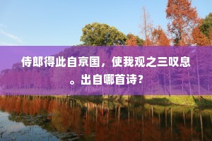 侍郎得此自京国，使我观之三叹息。出自哪首诗？