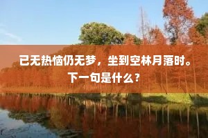 已无热恼仍无梦，坐到空林月落时。下一句是什么？