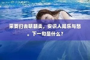 采菱归去明朝卖，安识人闻乐与愁。下一句是什么？