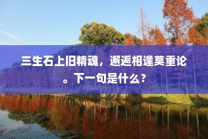 三生石上旧精魂，邂逅相逢莫重论。下一句是什么？