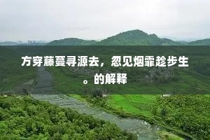 方穿藤蔓寻源去，忽见烟霏趁步生。的解释