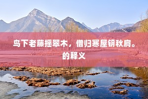 鸟下老藤摇翠木，僧归寒屋钥秋扃。的释义