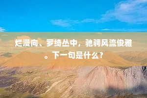 烂漫向、罗绮丛中，驰骋风流俊雅。下一句是什么？