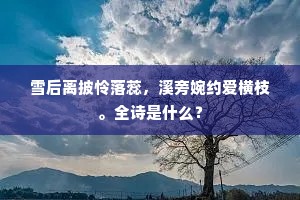 雪后离披怜落蕊，溪旁婉约爱横枝。全诗是什么？