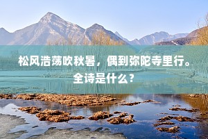 松风浩荡吹秋暑，偶到弥陀寺里行。全诗是什么？