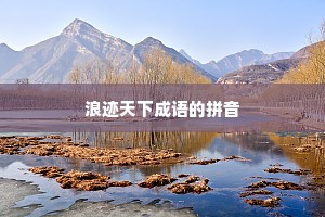 浪迹天下成语的拼音