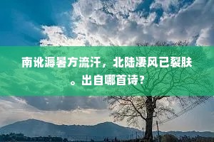 南讹溽暑方流汗，北陆凄风已裂肤。出自哪首诗？