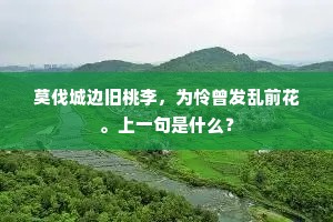 莫伐城边旧桃李，为怜曾发乱前花。上一句是什么？