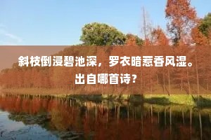 斜枝倒浸碧池深，罗衣暗惹香风湿。出自哪首诗？