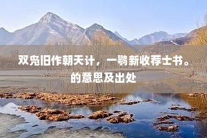 双凫旧作朝天计，一鹗新收荐士书。的意思及出处