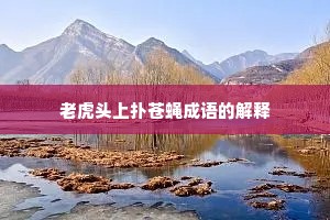老虎头上扑苍蝇成语的解释