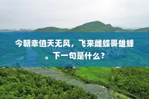 今朝幸值天无风，飞来雌蝶畏雄蜂。下一句是什么？