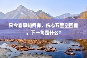 只今春事知何有，伤心万里空回首。下一句是什么？