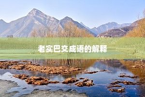 老实巴交成语的解释