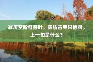 寂历空阶惟落叶，黄昏古寺只栖鸦。上一句是什么？