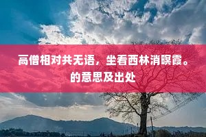 高僧相对共无语，坐看西林消暝霞。的意思及出处